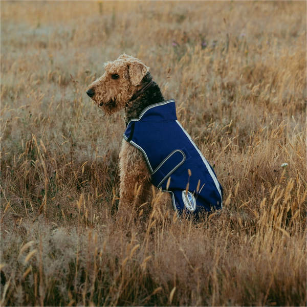 Weatherbeeta Comfitec Premier Free Duo Delux Dog Coat Parka - Dark Blue